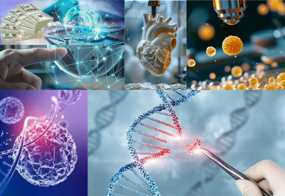 Screenshot 2025-09-11 142650